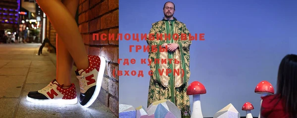 МДПВ Козловка