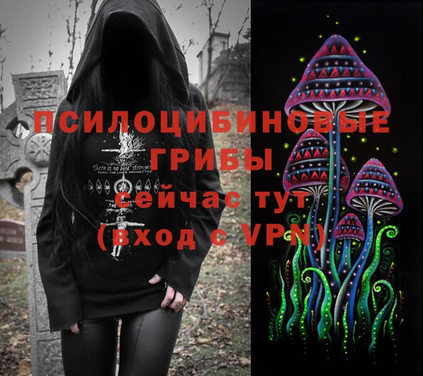 МДПВ Козловка