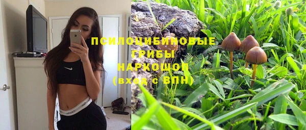 эйфоретик Кодинск