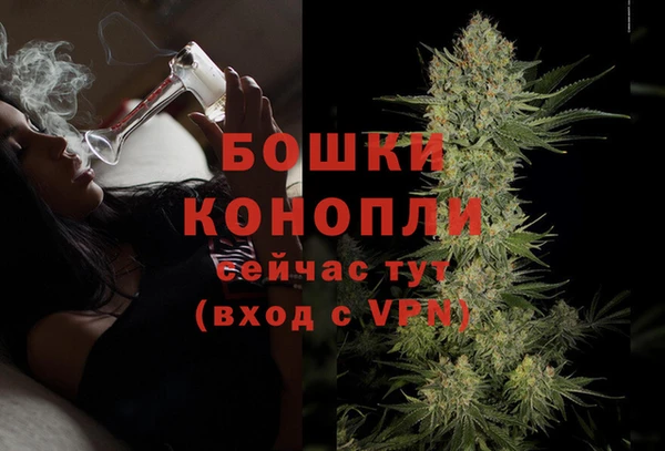 PSILOCYBIN Козельск